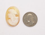 32x24mm Italian Real Shell Cameo unmounted loose Genuine Hand Carved Cameo C298