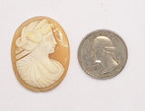 37x28mm Italian Real Shell Cameo unmounted loose Genuine Hand Carved Cameo C301
