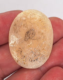 37x28mm Italian Real Shell Cameo unmounted loose Genuine Hand Carved Cameo C301