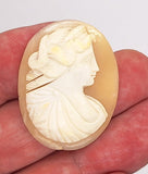 37x28mm Italian Real Shell Cameo unmounted loose Genuine Hand Carved Cameo C301