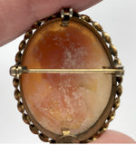 Antique Vintage Hand carved D'Abros Italian Shell Cameo Brooch gold filled carnelian stamped 12kt  F228
