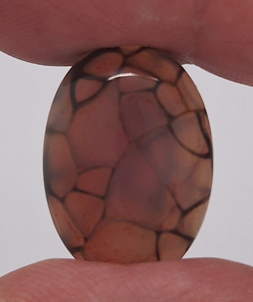 25x18mm Dyed Amber Red Brown Dragon Vein Agate Cabochon Stone S4038A