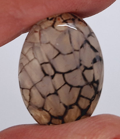 25x18mm Dyed Amber Red Brown Dragon Vein Agate Cabochon Stone S4038C