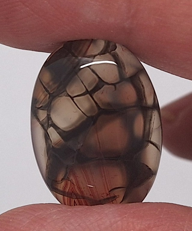 25x18mm Dyed Amber Red Brown Dragon Vein Agate Cabochon Stone S4038G