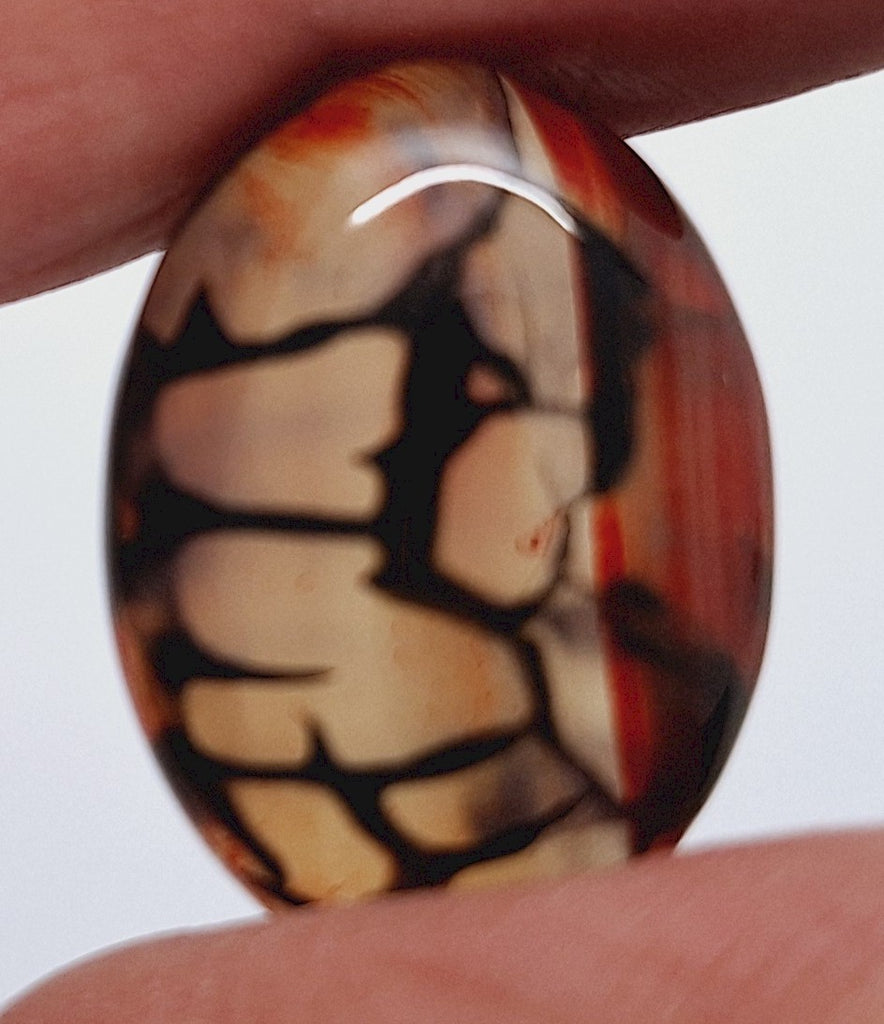 25x18mm Dyed Amber Red Brown Dragon Vein Agate Cabochon Stone S4038J