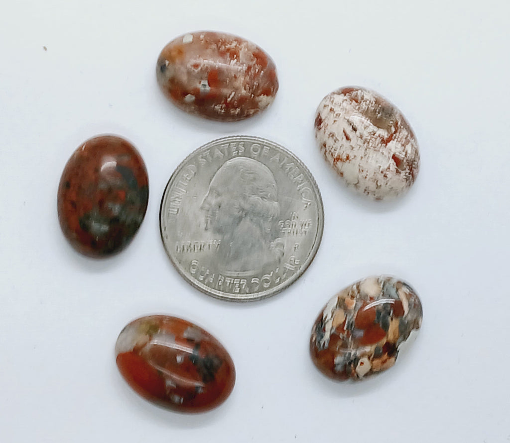 5pcs. of 18x13mm Brecciated Jasper Cabochon Oval Loose Gem stone Cab S4118B