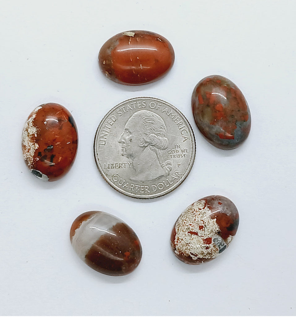 5pcs. of 18x13mm Brecciated Jasper Cabochon Oval Loose Gem stone Cab S4118D