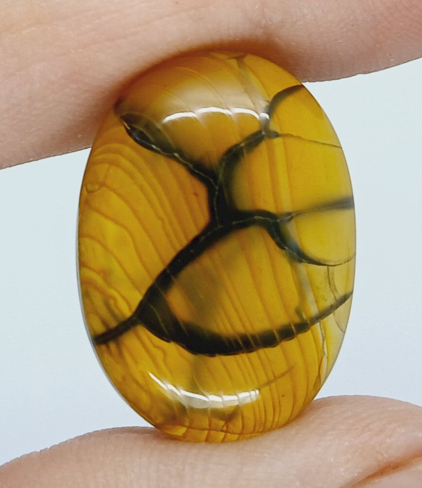 25x18mm Dyed Amber Dragon Vein Agate Cabochon Stone S4180H