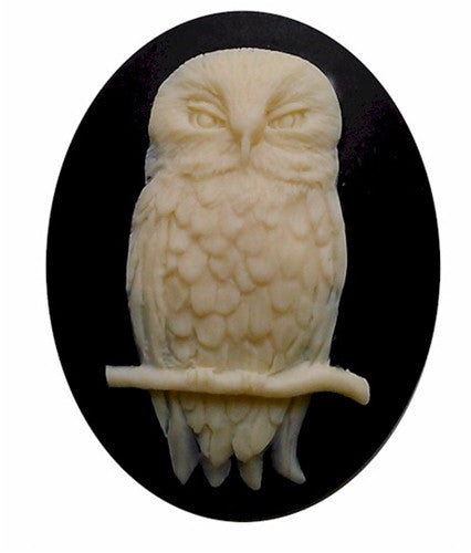 40x30mm wise Owl cameo Bird Cameo cabochon halloween goth 825x