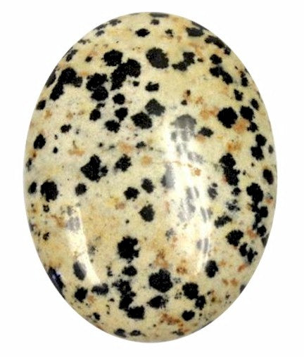 40x30mm Gemstone Cabochon Dalmation Jasper Flat Back  851x