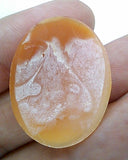 35x27mm Italian Real Shell Cameo unmounted loose Genuine Hand Carved Cameo C107