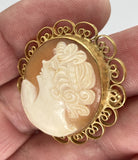 Vintage Hand carved Italian Shell Cameo Brooch carnelian pendant necklace combo F207