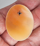 40x30mm Italian Real Shell Cameo unmounted loose Genuine Hand Carved Cameo C308