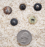 5pcs.  Antique Victorian Mother of Pearl Cut Steel Buttons Vintage Collectors Buttons  B685