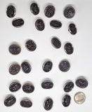 25pc Set of Antique Victorian Button Picture Button "The Kill"  Excellent Condition B697