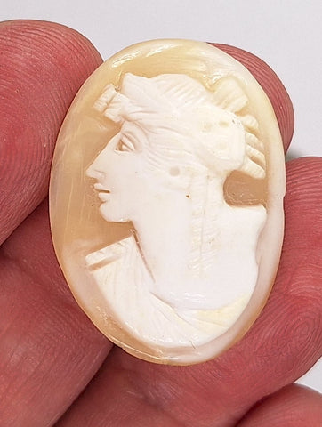 32x24mm Italian Real Shell Cameo unmounted loose Genuine Hand Carved Cameo C298