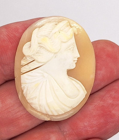37x28mm Italian Real Shell Cameo unmounted loose Genuine Hand Carved Cameo C301