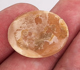25x20mm Italian Real Shell Cameo of St Peters Basilica  unmounted loose Genuine Hand Carved C303