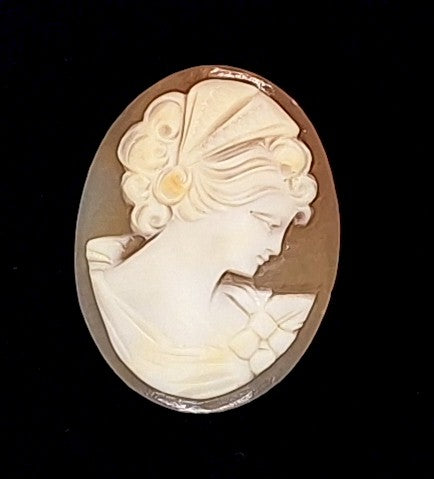 30x23mm Italian Real Shell Cameo unmounted loose Genuine Hand Carved Cameo C306