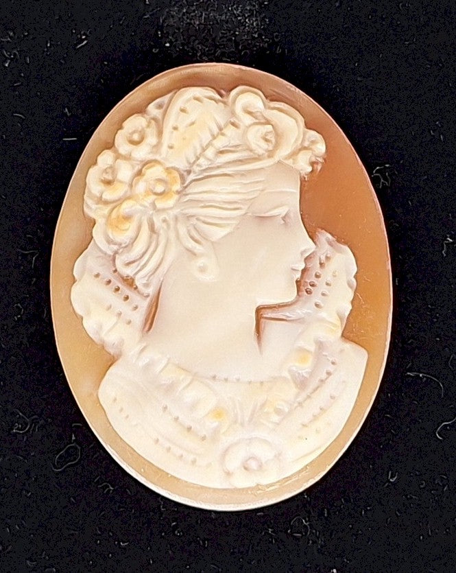 35x27mm Italian Real Shell Cameo unmounted loose Genuine Hand Carved Cameo C310