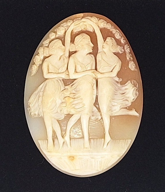 49x36mm Italian Real Shell Cameo Three Graces  unmounted loose Genuine Hand Carved Cameo C313
