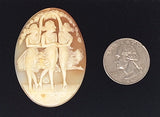 49x36mm Italian Real Shell Cameo Three Graces  unmounted loose Genuine Hand Carved Cameo C313