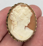 Antique Vintage Hand carved D'Abros Italian Shell Cameo Brooch gold filled carnelian stamped 12kt  F228