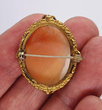 Vintage Hand carved Italian Shell Cameo Landscape Brooch Gold Tone shell Pin F266