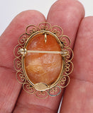 Vintage Hand carved Italian Shell Cameo Brooch carnelian pendant necklace combo F268