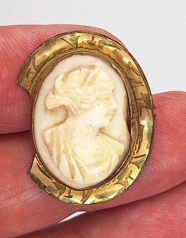 Scrap Shell Cameo Read Description F280