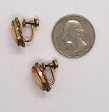 Antique 12kt gold filled carved shell 3 graces cameo screwback earrings F281