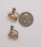 Italian Shell Cameo Screwback Earrings F282