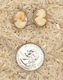 Italian Shell Cameo Screwback Earrings F282