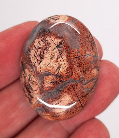 40x30mm Brecciated Jasper Cabochon Oval Loose Gem stone Cab S2175B