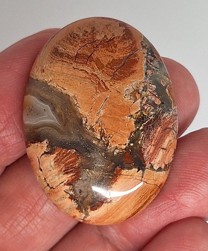 40x30mm Brecciated Jasper Cabochon Oval Loose Gem stone Cab S2175G