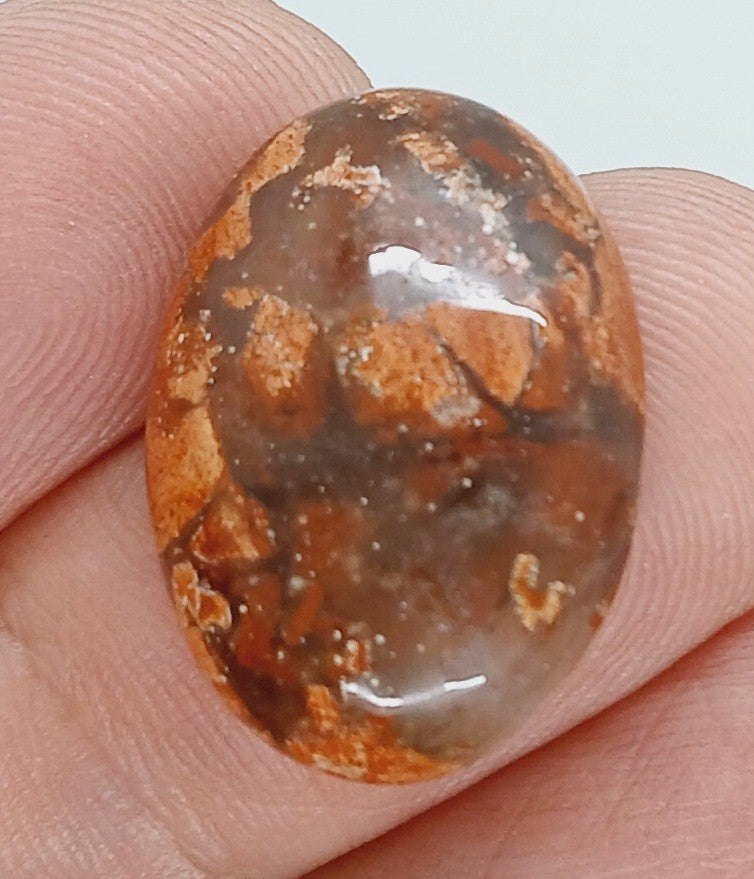 25x18mm Natural Brecciated Jasper loose oval Flat Back Cabochons S2183F