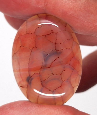 40x30mm Magenta Dragons Vein Dyed flat back oval crackle agate Cabochon S2184P