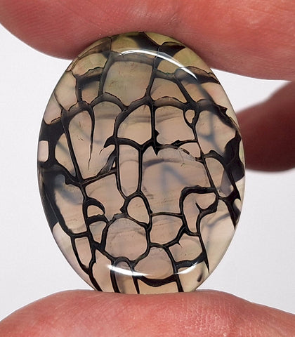 40x30mm Mossy Green Blue Dragon Vein Agate Cabochon Flat Back Oval S2214F