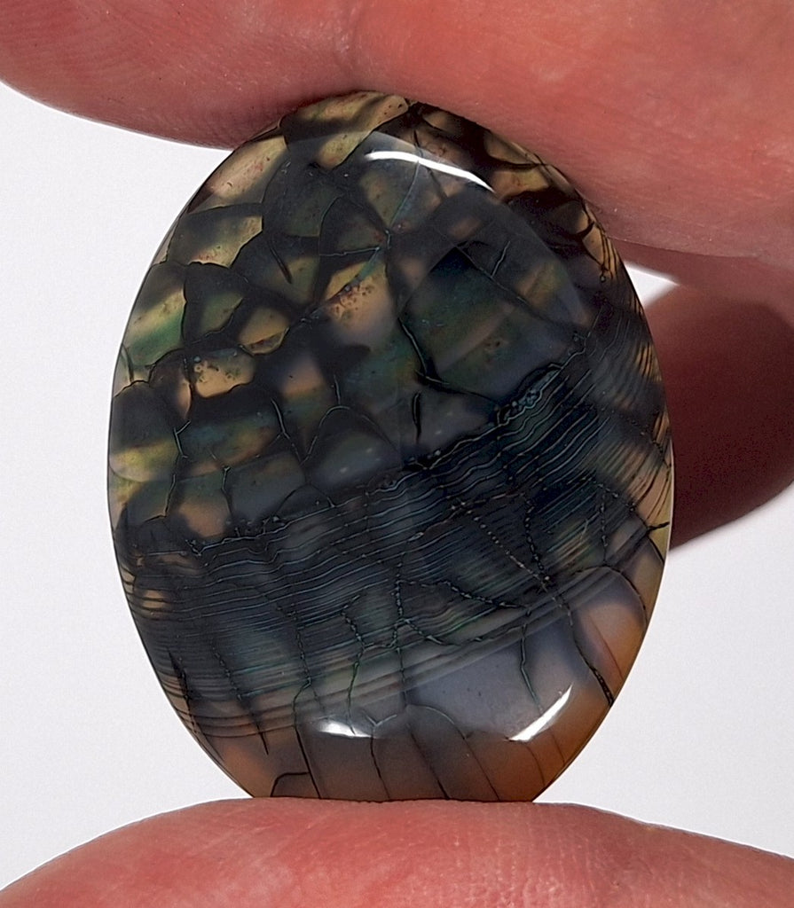 40x30mm Mossy Green Blue Dragon Vein Agate Cabochon Flat Back Oval S2214R