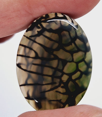 40x30mm Mossy Green Blue Dragon Vein Agate Cabochon Flat Back Oval S2214i