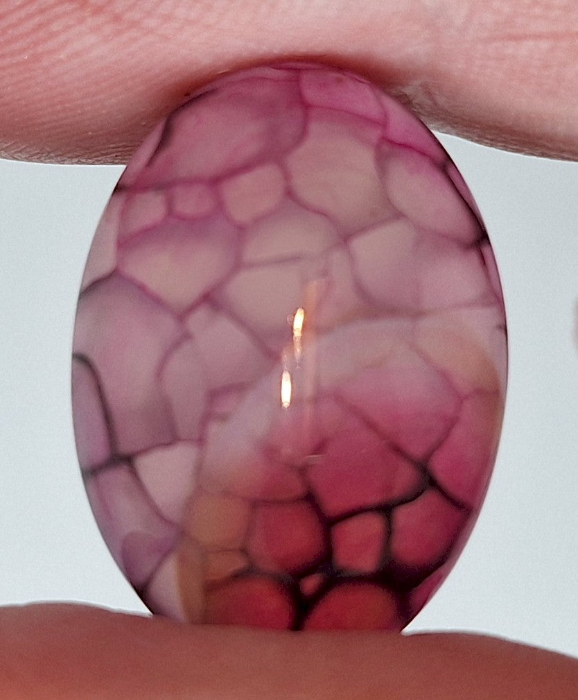 25x18mm Dyed Magenta Deep Pink Dragon Vein Agate Cabochon Stone S4008P