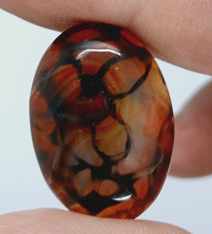 25x18mm Dyed Amber Red Brown Dragon Vein Agate Cabochon Stone S4038D