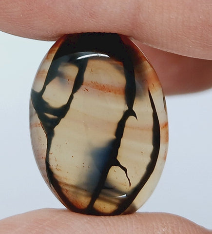 25x18mm Dyed Amber Red Brown Dragon Vein Agate Cabochon Stone S4038i