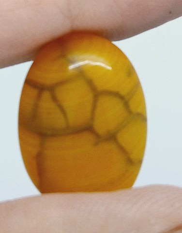 25x18mm Dyed Amber Dragon Vein Agate Cabochon Stone S4180C