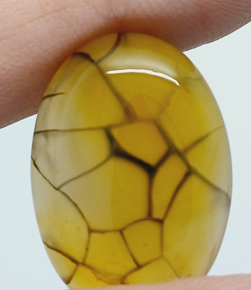 25x18mm Dyed Amber Dragon Vein Agate Cabochon Stone S4180K