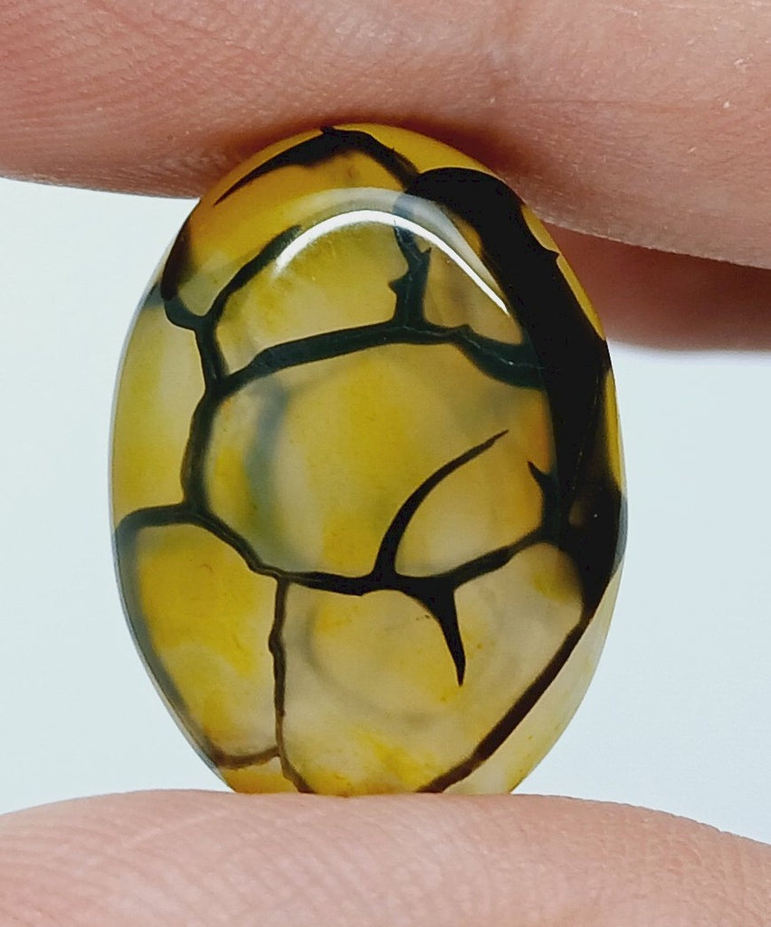 25x18mm Dyed Yellow Dragon Vein Agate Cabochon Stone S4182D