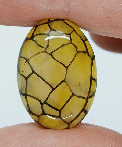 25x18mm Dyed Yellow Dragon Vein Agate Cabochon Stone S4182G