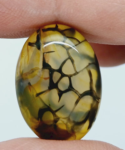 25x18mm Dyed Yellow Dragon Vein Agate Cabochon Stone S4182i