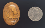 40x30mm Picture Jasper Cabochon Brown Oval Loose Gem stone Cab S4248A