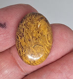 25x18mm Elephant Skin Jasper Miriam Stone Calligraphy Stone Cabochon S4260